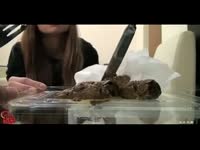 Asian Woman - Dream Turd 2